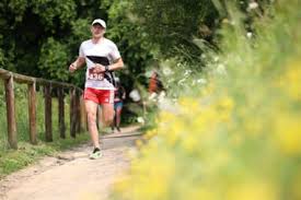 Image result for Shelton Striders