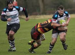 Image result for Grasshoppers Rfc