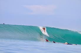 Image result for Raven Surf School
