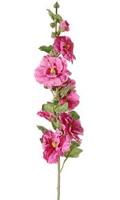 Image result for Stockrose