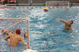 Image result for Invicta Water Polo Club