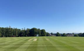 Image result for Downpatrick Cricket Club