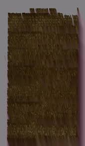 Attēlu rezultāti vaicājumam “Oligonema affine”