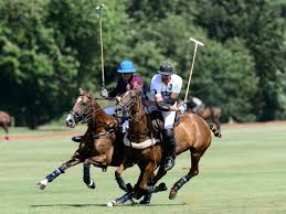 Image result for Kirtlington Park Polo Club