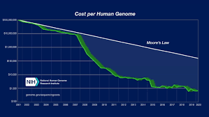 Image result for genome sizes