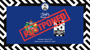 Image result for Chertsey Albion Fc