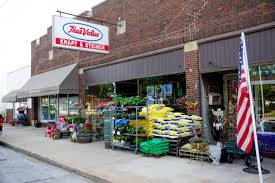 Image result for True stiners