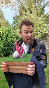 Attēlu rezultāti vaicājumam “Sarcoscypha austriaca var. lutea”