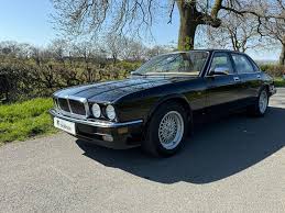 Image result for Sable Black 1982 Jaguar
