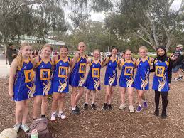 Image result for Waverley Netball Club