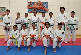 Image result for Epsom & Ewell Karate Club