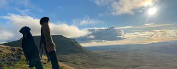 Image result for Dales Hang Gliding & Paragliding Club