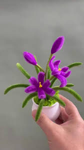 「扭蘭」的圖片搜尋結果