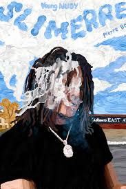 Attēlu rezultāti vaicājumam “Physarum album young”