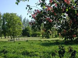 Image result for Haverhill Golf Club Ltd