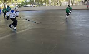 Image result for Walsall Roller Hockey Club