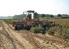 Rear view of a flail vine shredder - via Daymix