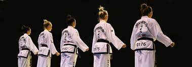 Image result for English International Allstyles Taekwon-Do