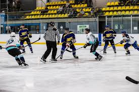 Image result for Streatham Night Wolves Ice Hockey Team