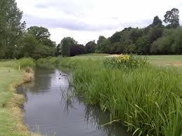 Image result for Downshire Golf Complex