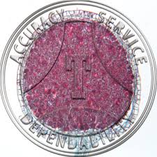 Attēlu rezultāti vaicājumam “Pellia epiphylla sporophyte”