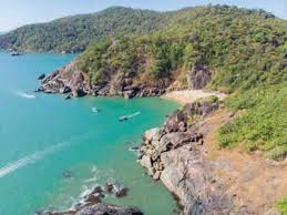 Image result for goa beaches