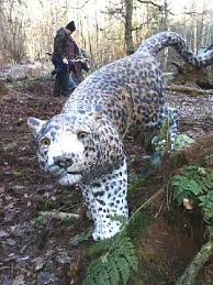 Image result for Fleet Ibex Field Archery Club