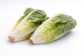 Image result for Römischer Salat