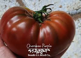 Afbeeldingsresultaat voor cherokee purple tomato