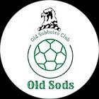 Image result for maiden Erlegh Subbuteo Club