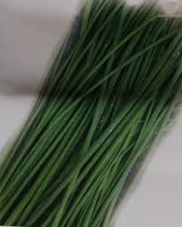 Image result for Schnittlauch