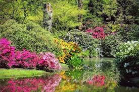 Image result for Arboretum Trompenburg