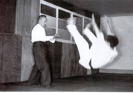 Image result for Ellis Schools of Traditional Aikido