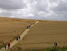 Crop circle south of Avebury - via Daymix