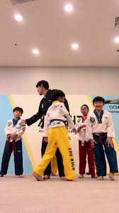 Image result for Bracknell TaeKwon-Do Club