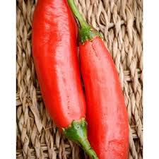 Afbeeldingsresultaat voor aji dulce sweet pepper