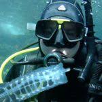 Image result for TAL Divers