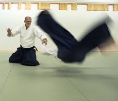 Image result for Southport Muto Aikido Club