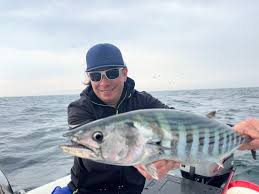 Image result for Sarda sarda