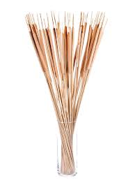 Image result for Rohrkolben