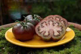 Afbeeldingsresultaat voor black brandywine tomato