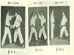 Image result for Reading Karate-Do Shotokai