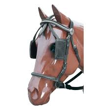 Image result for scheuklappen