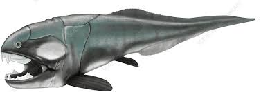 Attēlu rezultāti vaicājumam “Placodermi”