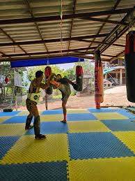 Image result for Sitnarong Muay Thai Club