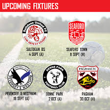 Image result for Hassocks Ladies FC