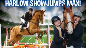 Image result for Harlow Badminton Club