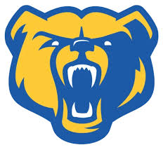 Image result for Lyndhurst Football Club