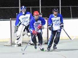 Image result for Team-Tigers Roller Hockey Club