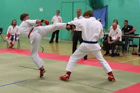 Image result for Goju.co.uk